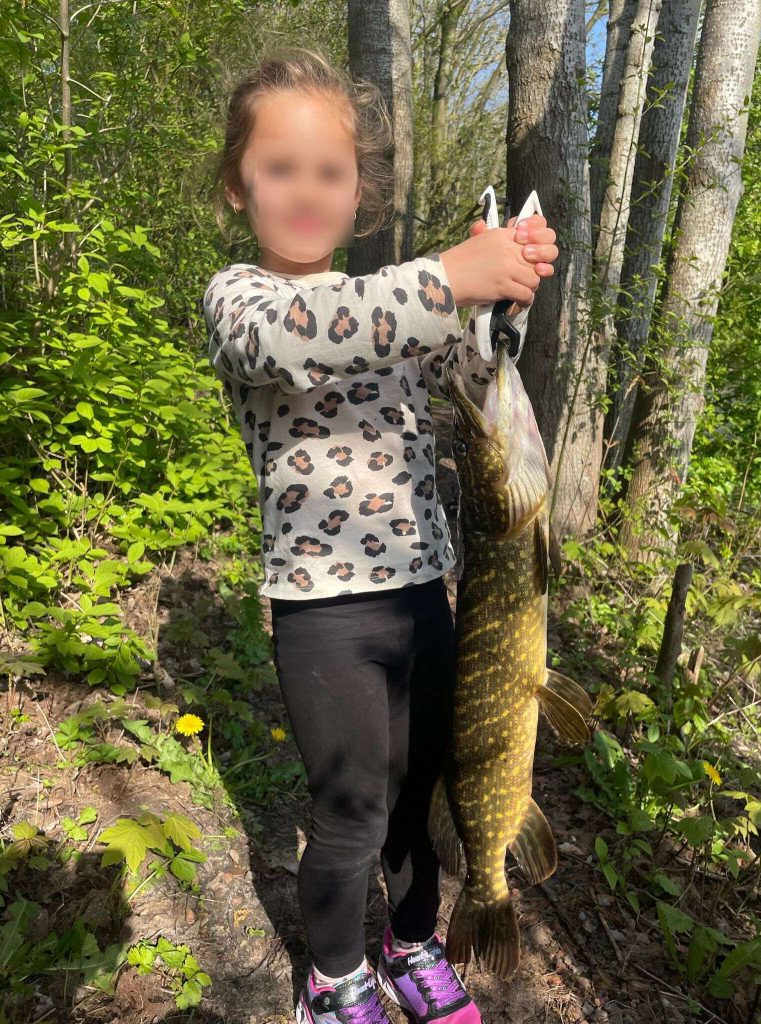 Snoek