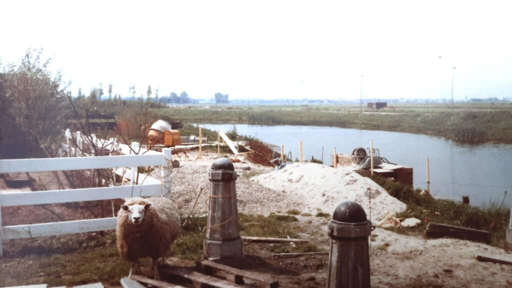 Schaap