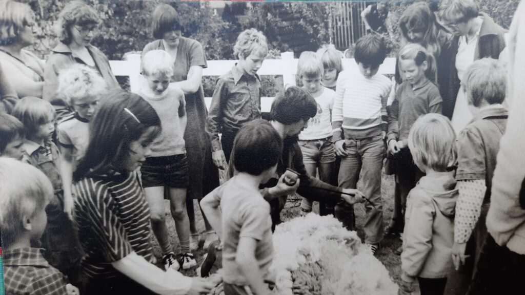 Schaap geschoren