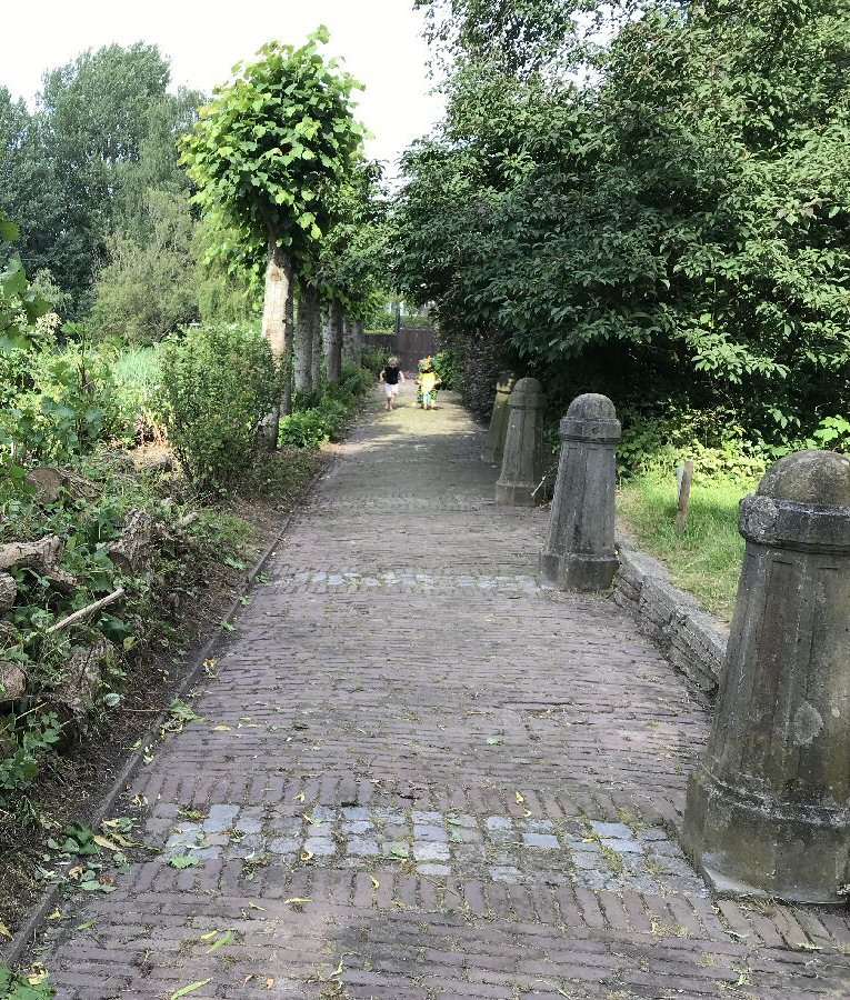 Lindelaan