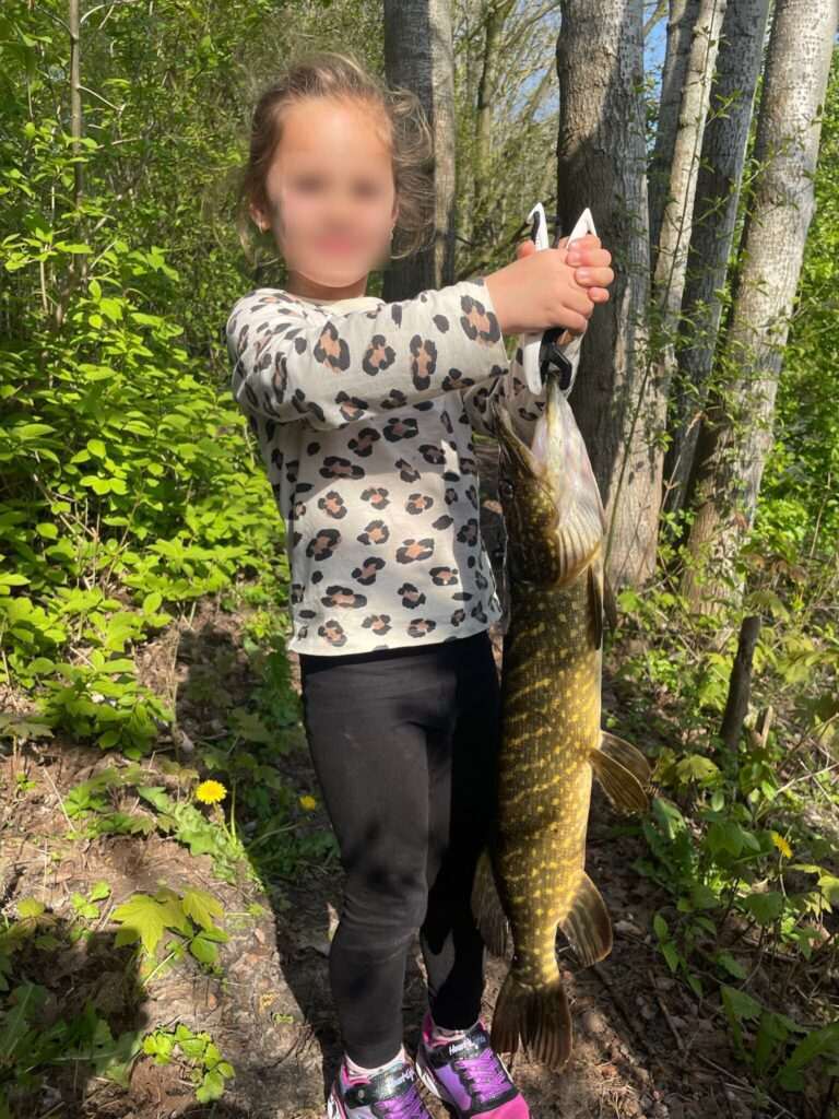 Snoek